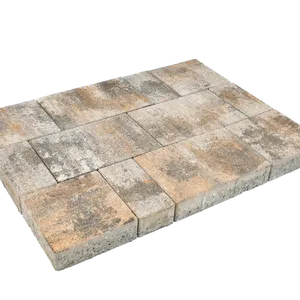 frankopan-smedi-color-mix-main.webp